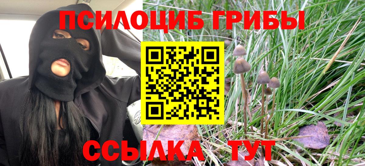 Галлюциногенные грибы Psilocybe Баксан