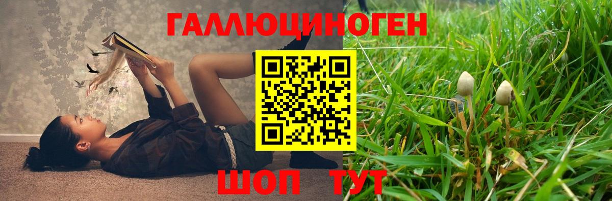 Псилоцибиновые грибы MAGIC MUSHROOMS  Вход с VPN  Галлюциногенные грибы мицелий  Баксан 